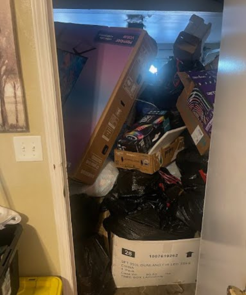 A closet full of boxes and other items