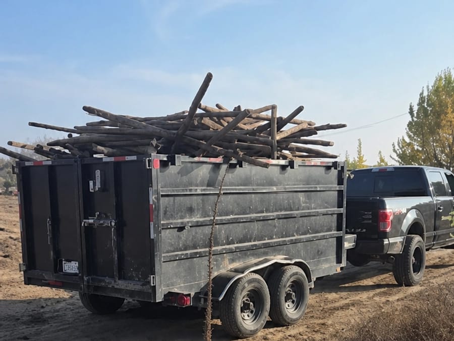 Dump trailer loaded with orchard limbs and brush after a Reedley area green waste haul