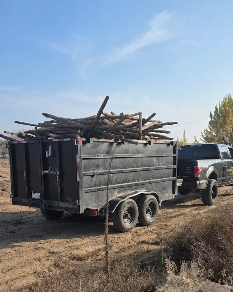 Dump trailer loaded with tree limbs and brush after a Fresno yard clearance